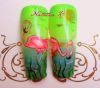 Filename=flamingo_firm.jpg
Filesize=102KB
Dimensions=801x705
Date added=Aug 23, 2008 flamingo_firm.jpg